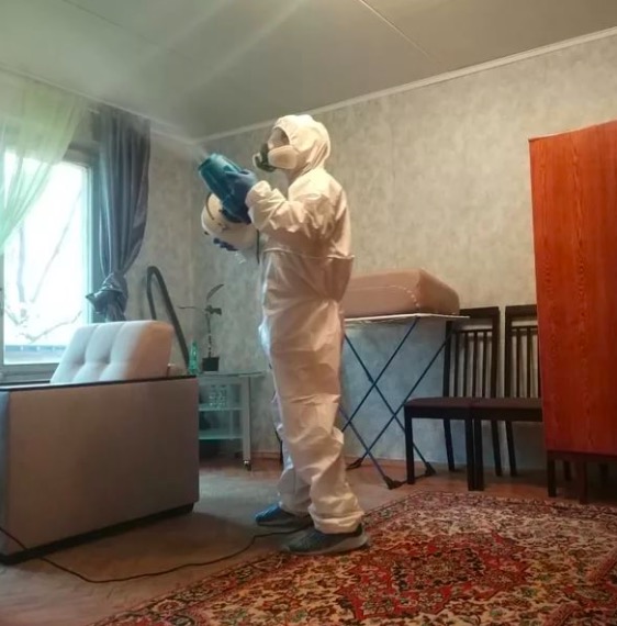 дезинсекция квартиры в г. Березники